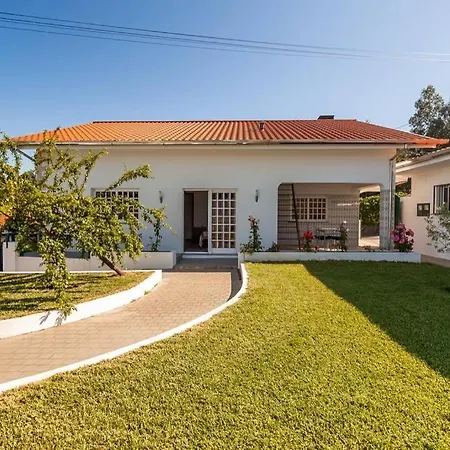 Casa Do Costa Em Arouca Com Piscina